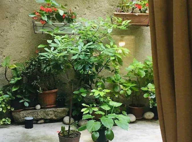 Apartmán Filipas Cres